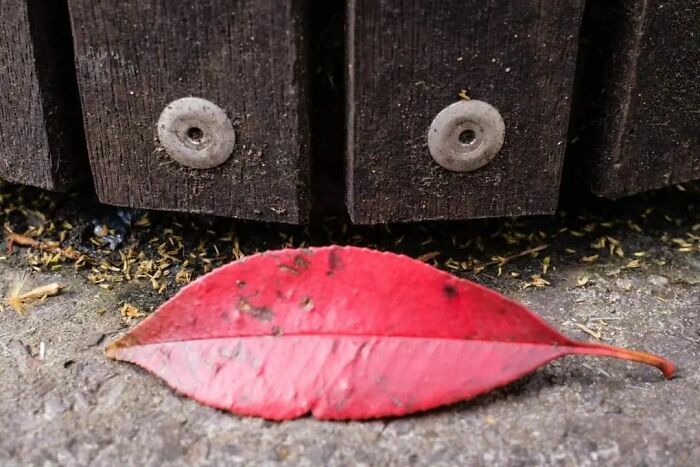 Este fotógrafo belga captura cenas engraçadas e extraordinárias da vida cotidiana (30 fotos) 4