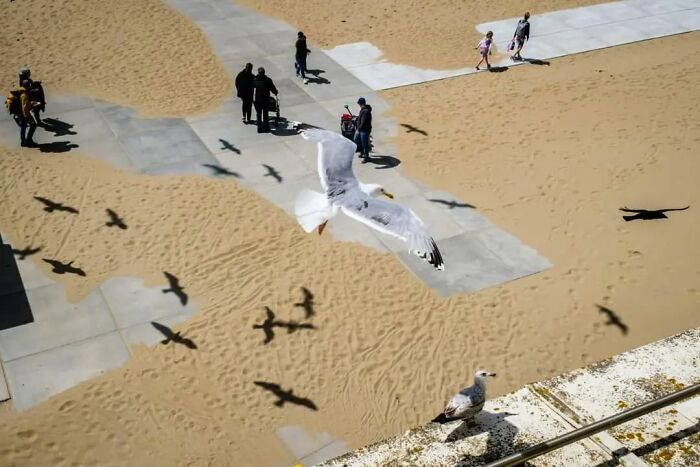 Este fotógrafo belga captura cenas engraçadas e extraordinárias da vida cotidiana (30 fotos) 12