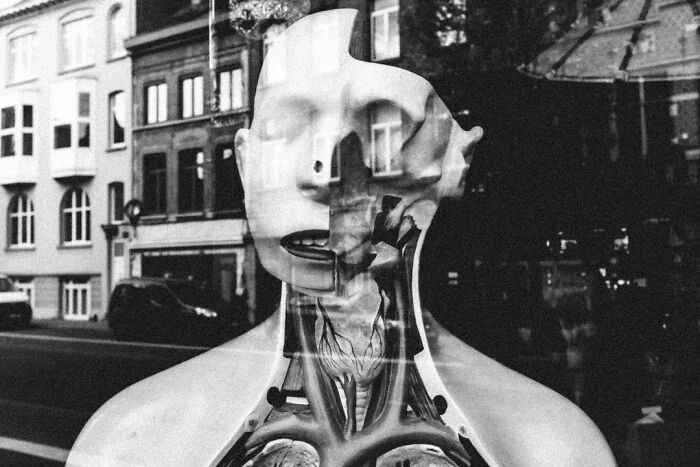 Este fotógrafo belga captura cenas engraçadas e extraordinárias da vida cotidiana (30 fotos) 14