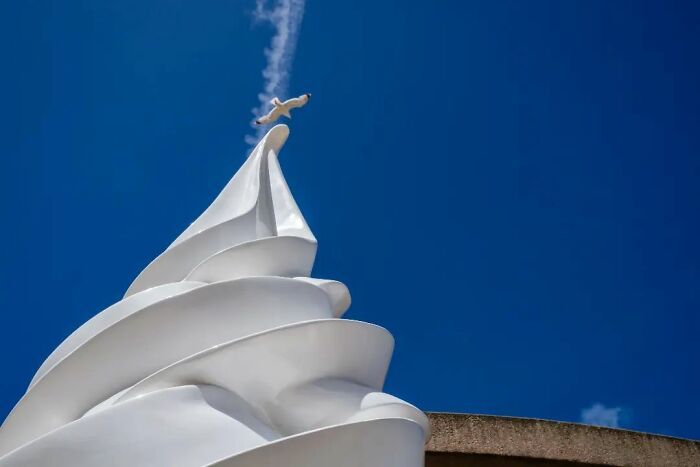 Este fotógrafo belga captura cenas engraçadas e extraordinárias da vida cotidiana (30 fotos) 18