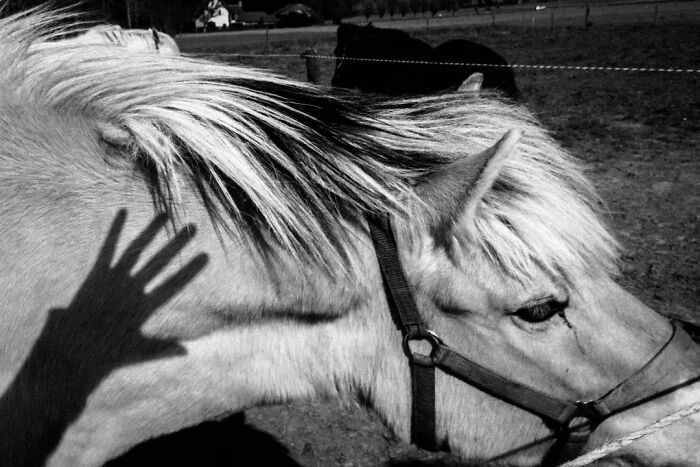 Este fotógrafo belga captura cenas engraçadas e extraordinárias da vida cotidiana (30 fotos) 20