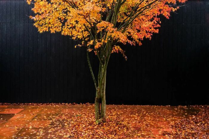 Este fotógrafo belga captura cenas engraçadas e extraordinárias da vida cotidiana (30 fotos) 22