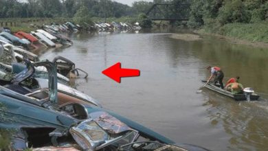 Momentos incríveis gravados pelas câmeras #5 8