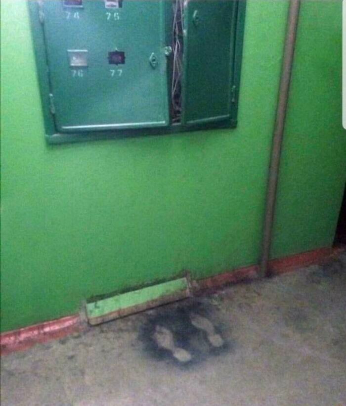 32 pessoas viram essas imagens amaldiçoadas e tiveram que compartilhá-las neste grupo online 10