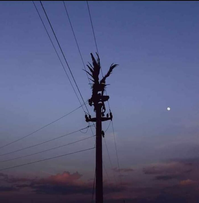 32 pessoas viram essas imagens amaldiçoadas e tiveram que compartilhá-las neste grupo online 11