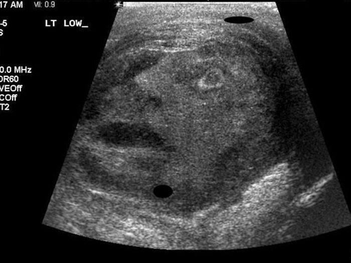 32 pessoas viram essas imagens amaldiçoadas e tiveram que compartilhá-las neste grupo online 12