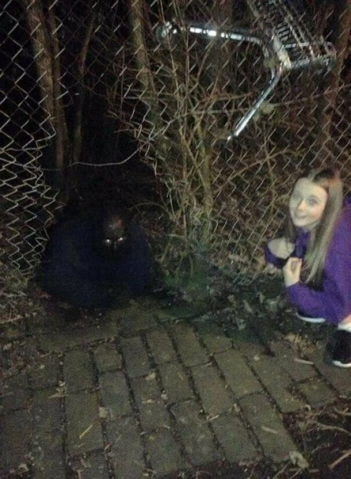 32 pessoas viram essas imagens amaldiçoadas e tiveram que compartilhá-las neste grupo online 16