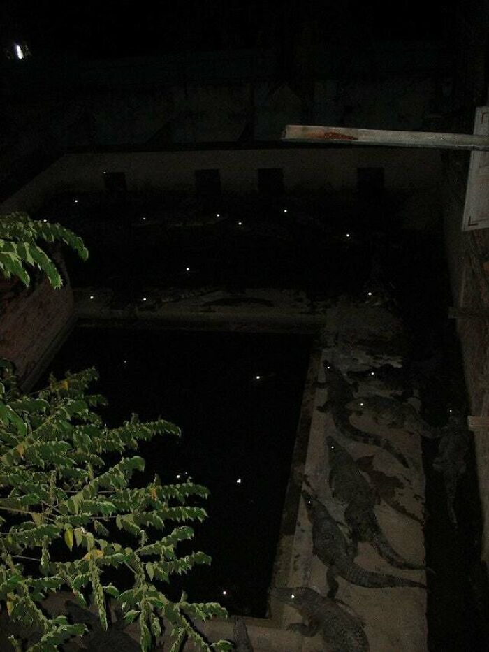 32 pessoas viram essas imagens amaldiçoadas e tiveram que compartilhá-las neste grupo online 21