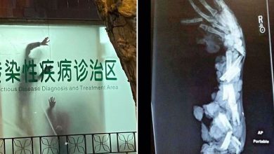 32 pessoas viram essas imagens amaldiçoadas e tiveram que compartilhá-las neste grupo online 49