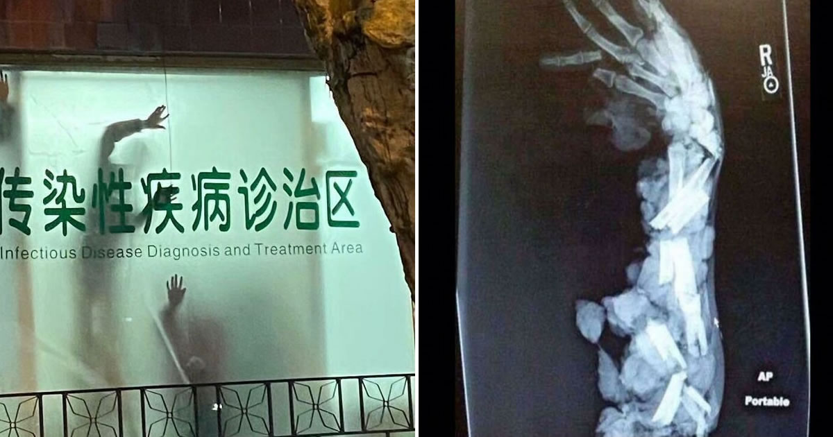 32 pessoas viram essas imagens amaldiçoadas e tiveram que compartilhá-las neste grupo online