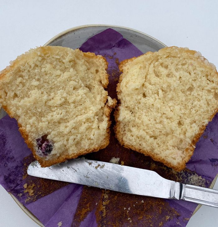 19 vezes que a vida nos pregou seus truques mais cruéis 9