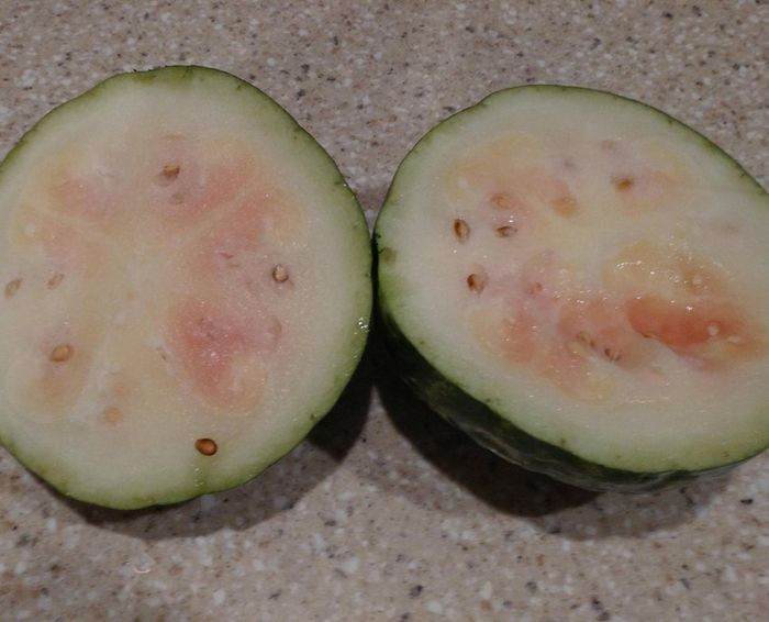 19 vezes que a vida nos pregou seus truques mais cruéis 10