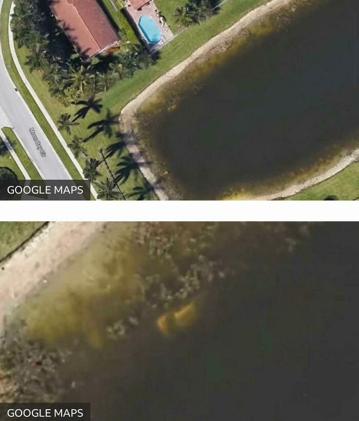 26 vezes que as pessoas encontraram coisas tão estranhas no Google Maps 1