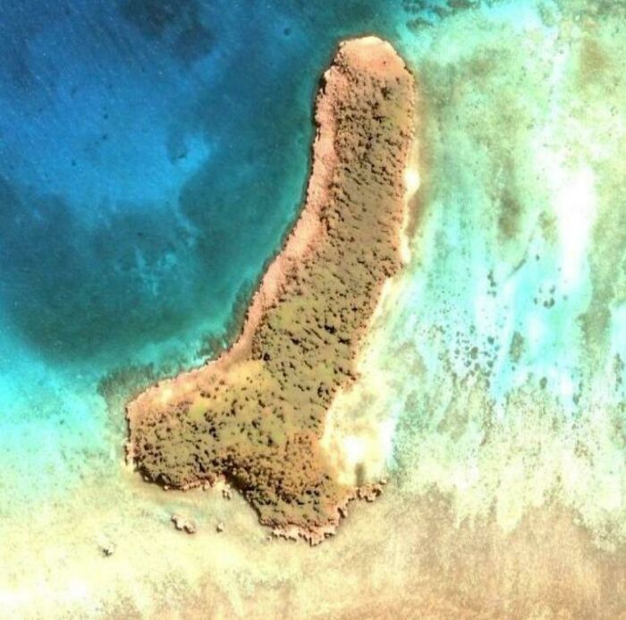 26 vezes que as pessoas encontraram coisas tão estranhas no Google Maps 4