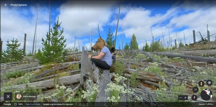 26 vezes que as pessoas encontraram coisas tão estranhas no Google Maps 10