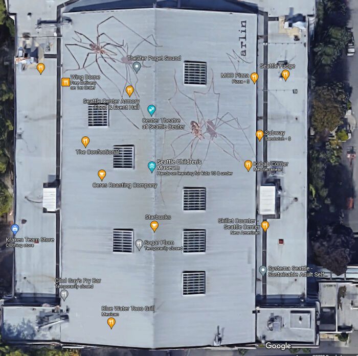 26 vezes que as pessoas encontraram coisas tão estranhas no Google Maps 13