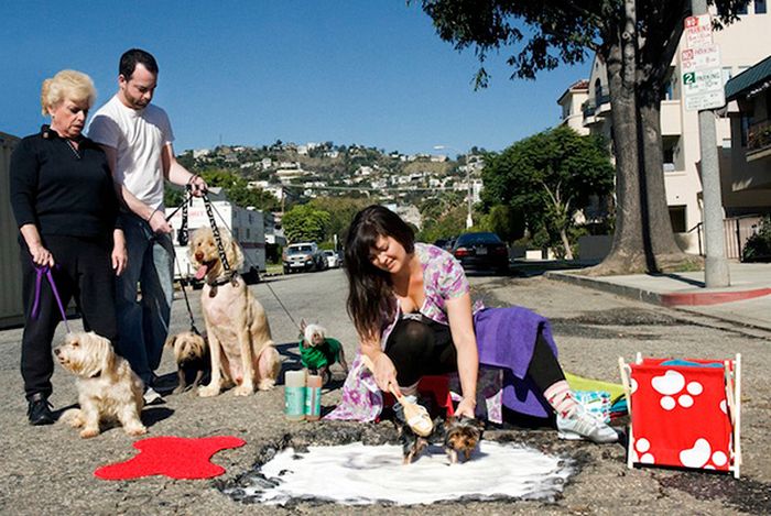 Artistas transformaram buracos em oportunidades criativo para tirar fotos (20 fotos) 9