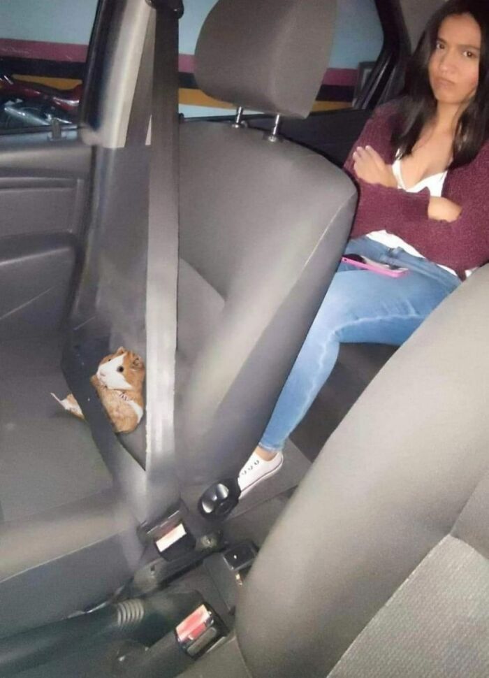 42 fotos incríveis de animais que são boas demais para não serem compartilhadas 3