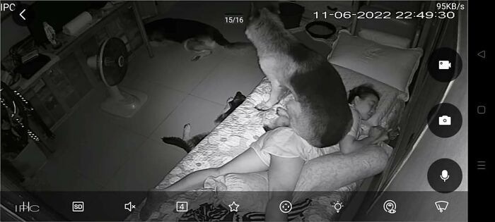 42 fotos incríveis de animais que são boas demais para não serem compartilhadas 7