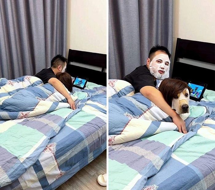 42 fotos incríveis de animais que são boas demais para não serem compartilhadas 8