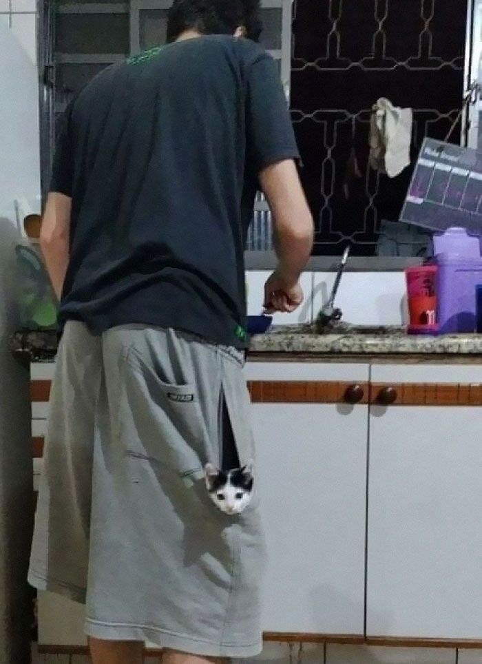 42 fotos incríveis de animais que são boas demais para não serem compartilhadas 14