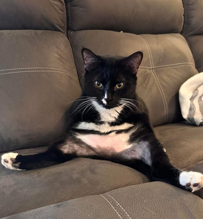 15 fotos que provam que as coisas são mais duvidosas do que você acredita 4