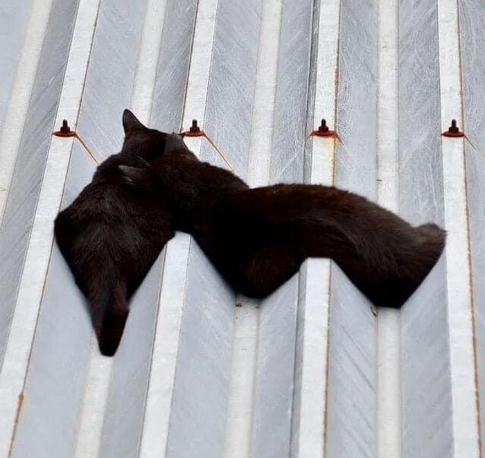 15 fotos que provam que as coisas são mais duvidosas do que você acredita 8