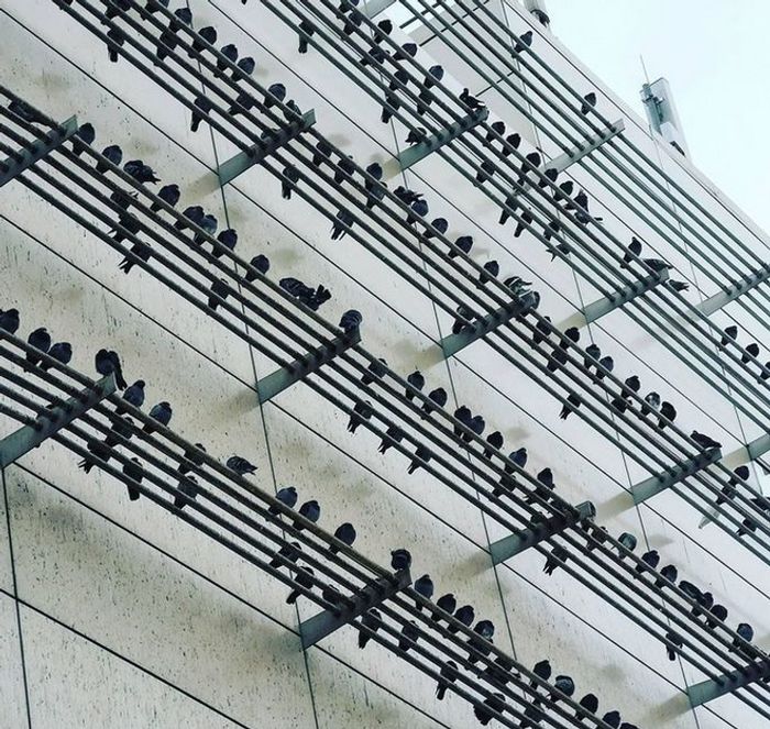 15 fotos que provam que as coisas são mais duvidosas do que você acredita 9