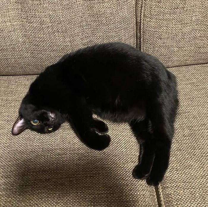 15 fotos que provam que as coisas são mais duvidosas do que você acredita 11