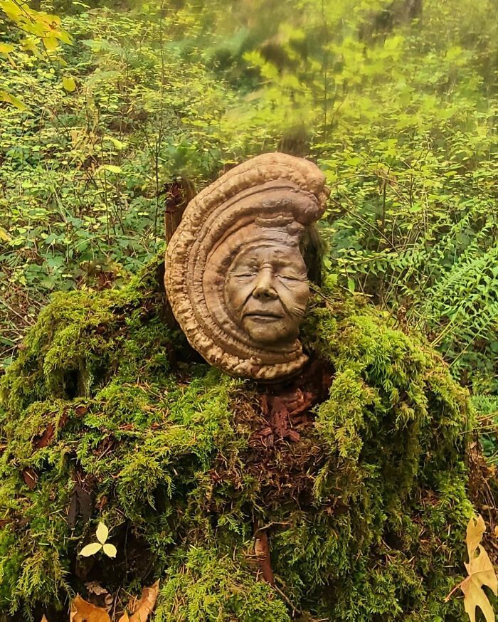 38 impressionantes esculturas de madeira de Debra Bernier 9