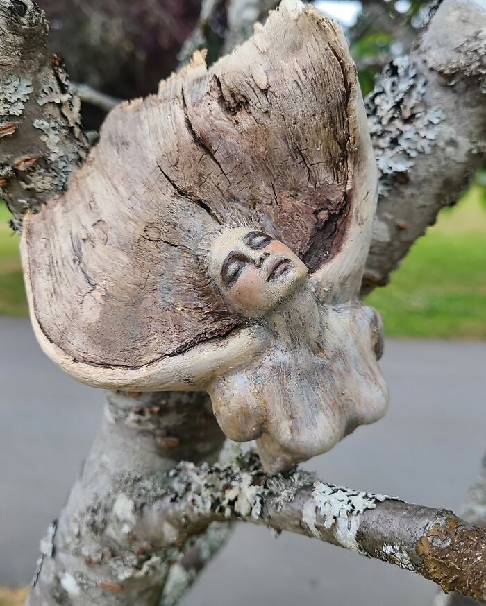 38 impressionantes esculturas de madeira de Debra Bernier 22