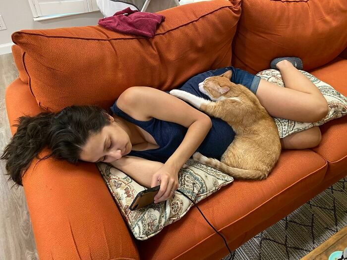 42 vezes que os gatos provaram que são as melhores babás 4