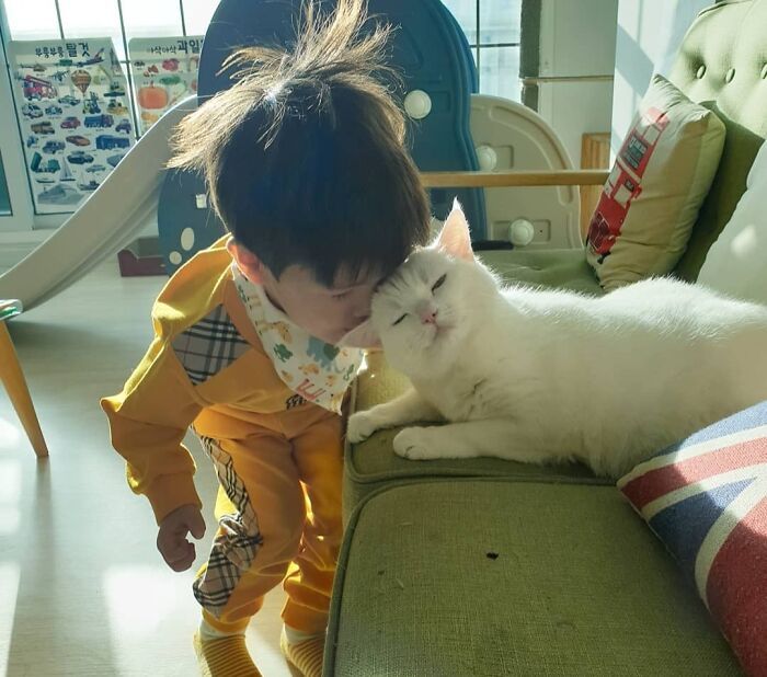 42 vezes que os gatos provaram que são as melhores babás 10