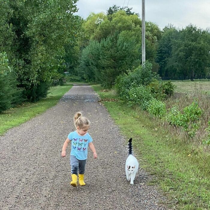 42 vezes que os gatos provaram que são as melhores babás 20