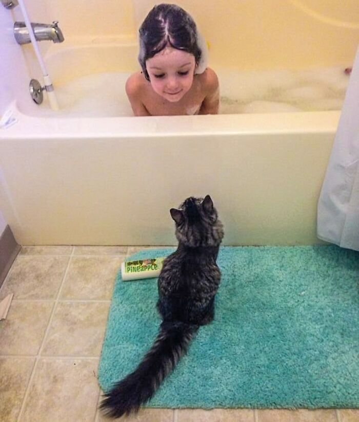 42 vezes que os gatos provaram que são as melhores babás 24