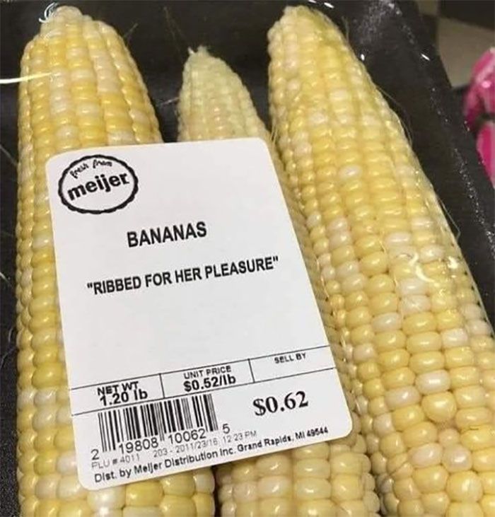 34 coisas em lugares onde não deveriam estar que são engraçados e preocupantes 3