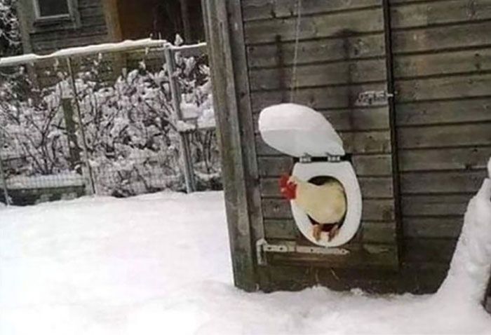 34 coisas em lugares onde não deveriam estar que são engraçados e preocupantes 4