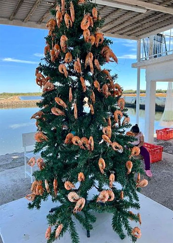 34 coisas em lugares onde não deveriam estar que são engraçados e preocupantes 7