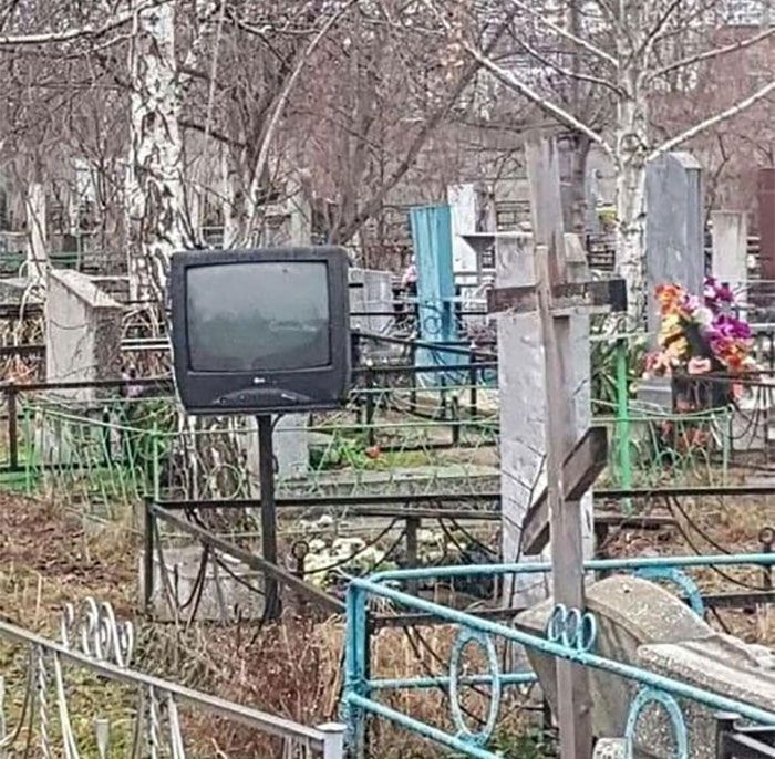 34 coisas em lugares onde não deveriam estar que são engraçados e preocupantes 8