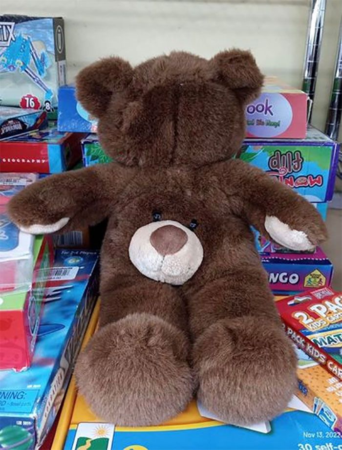 34 coisas em lugares onde não deveriam estar que são engraçados e preocupantes 9