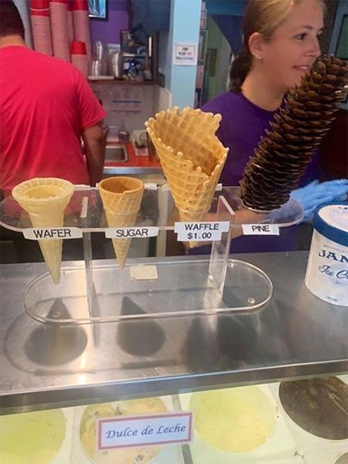 34 coisas em lugares onde não deveriam estar que são engraçados e preocupantes 11