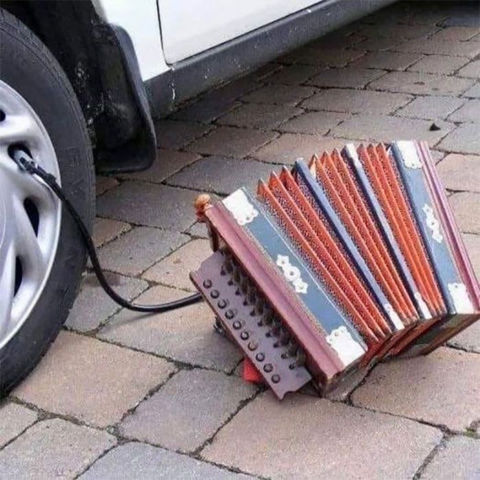 34 coisas em lugares onde não deveriam estar que são engraçados e preocupantes 17