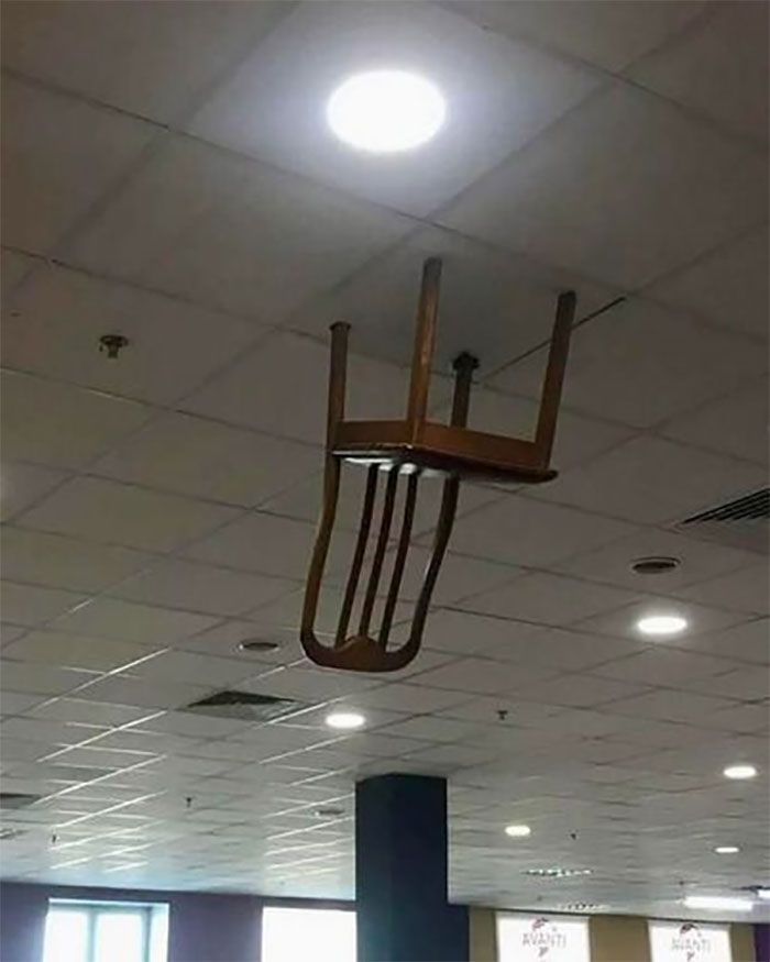 34 coisas em lugares onde não deveriam estar que são engraçados e preocupantes 20