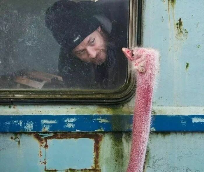 Fotos legais #75 (35 fotos) 9