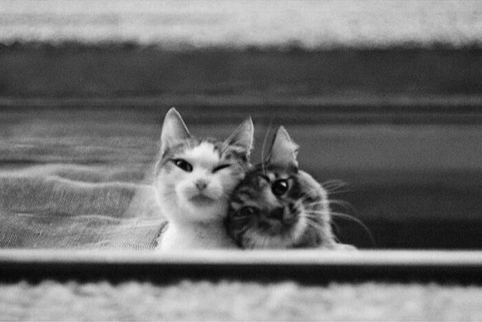 Fotos legais #75 (35 fotos) 15