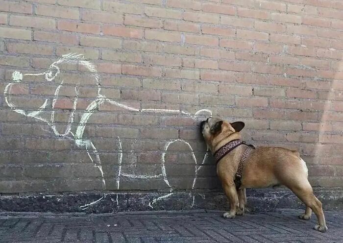 Fotos legais #75 (35 fotos) 24