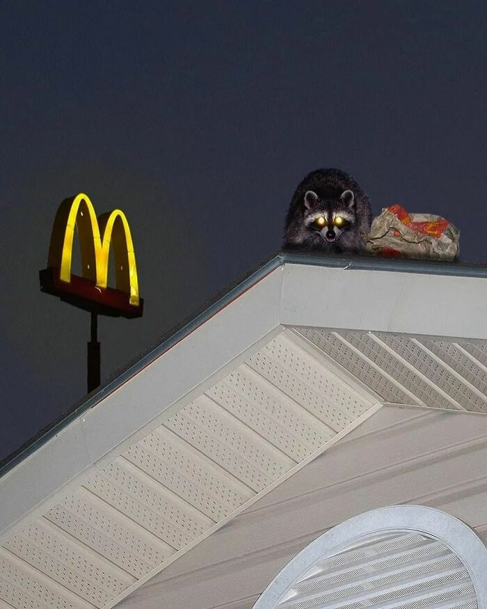 Fotos legais #75 (35 fotos) 26