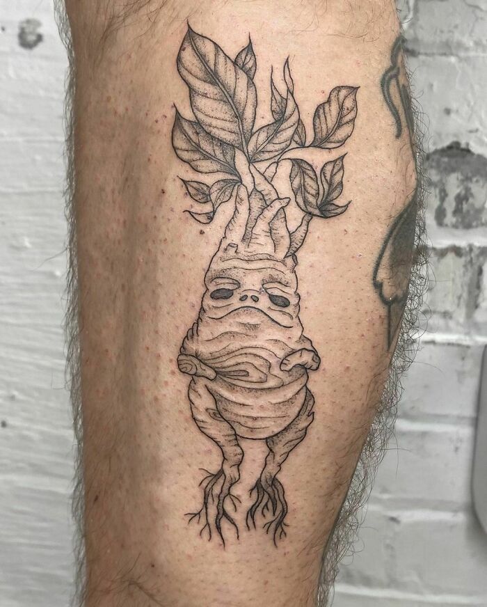 36 ideias de Tatoo dos mandrake