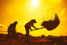 Trabalhadores: a força vital por trás do progresso - uma reflexão sobre o Dia do Trabalhador 11