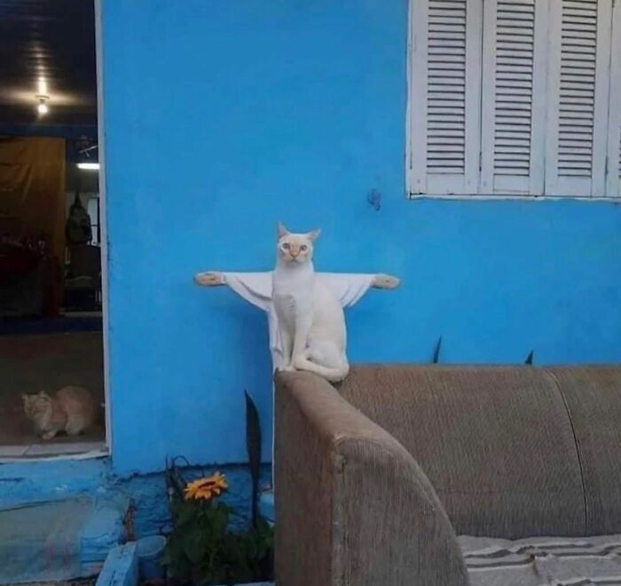 A arte oculta nas ruas: 46 fotos deslumbrantes de locais públicos 20